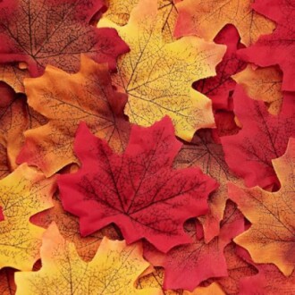 Red and yellow autumn leaves overlapping