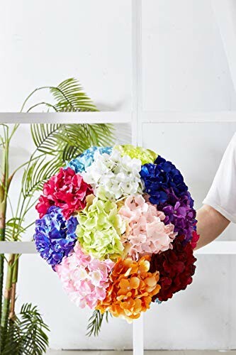 Colorful bouquet of hydrangeas held against a white background.