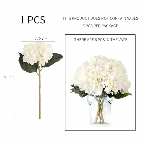 Single white hydrangea stem and bouquet in vase