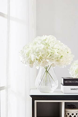 White hydrangeas in a clear vase on a table near window